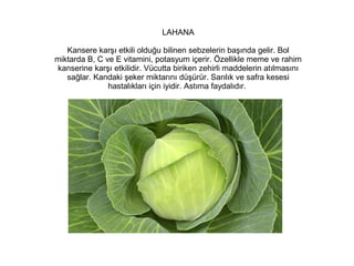 LAHANA
Kansere karşı etkili olduğu bilinen sebzelerin başında gelir. Bol
miktarda B, C ve E vitamini, potasyum içerir. Özellikle meme ve rahim
kanserine karşı etkilidir. Vücutta biriken zehirli maddelerin atılmasını
sağlar. Kandaki şeker miktarını düşürür. Sarılık ve safra kesesi
hastalıkları için iyidir. Astıma faydalıdır.

 