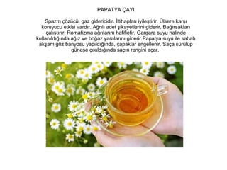PAPATYA ÇAYI
Spazm çözücü, gaz gidericidir. İltihapları iyileştirir. Ülsere karşı
koruyucu etkisi vardır. Ağrılı adet şikayetlerini giderir. Bağırsakları
çalıştırır. Romatizma ağrılarını hafifletir. Gargara suyu halinde
kullanıldığında ağız ve boğaz yaralarını giderir.Papatya suyu ile sabah
akşam göz banyosu yapıldığında, çapaklar engellenir. Saça sürülüp
güneşe çıkıldığında saçın rengini açar.

 