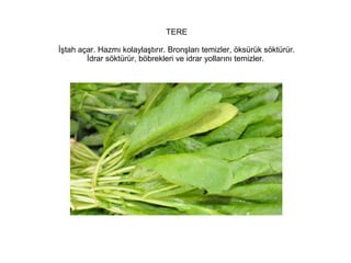 TERE
İştah açar. Hazmı kolaylaştırır. Bronşları temizler, öksürük söktürür.
İdrar söktürür, böbrekleri ve idrar yollarını temizler.

 