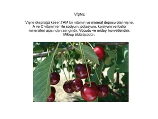 VİŞNE
Vişne öksürüğü keser.TAM bir vitamin ve mineral deposu olan vişne,
A ve C vitaminleri ile sodyum, potasyum, kalsiyum ve fosfor
mineralleri açısından zengindir. Vücudu ve mideyi kuvvetlendirir.
Mikrop öldürücüdür.

 