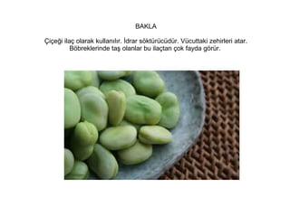 BAKLA
Çiçeği ilaç olarak kullanılır. İdrar söktürücüdür. Vücuttaki zehirleri atar.
Böbreklerinde taş olanlar bu ilaçtan çok fayda görür.

 