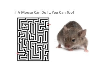If A Mouse Can Do It, You Can Too!
 
