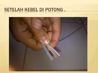 SETELAH KEBEL DI POTONG .
 