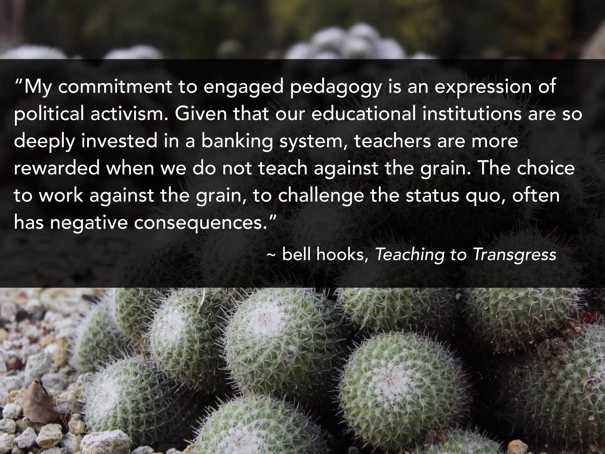 “My commitment to engaged pedagogy is an expression of
political activism. Given that our educational institutions are so
deeply invested in a banking system, teachers are more
rewarded when we do not teach against the grain. The choice
to work against the grain, to challenge the status quo, often
has negative consequences.”
~ bell hooks, Teaching to Transgress
 