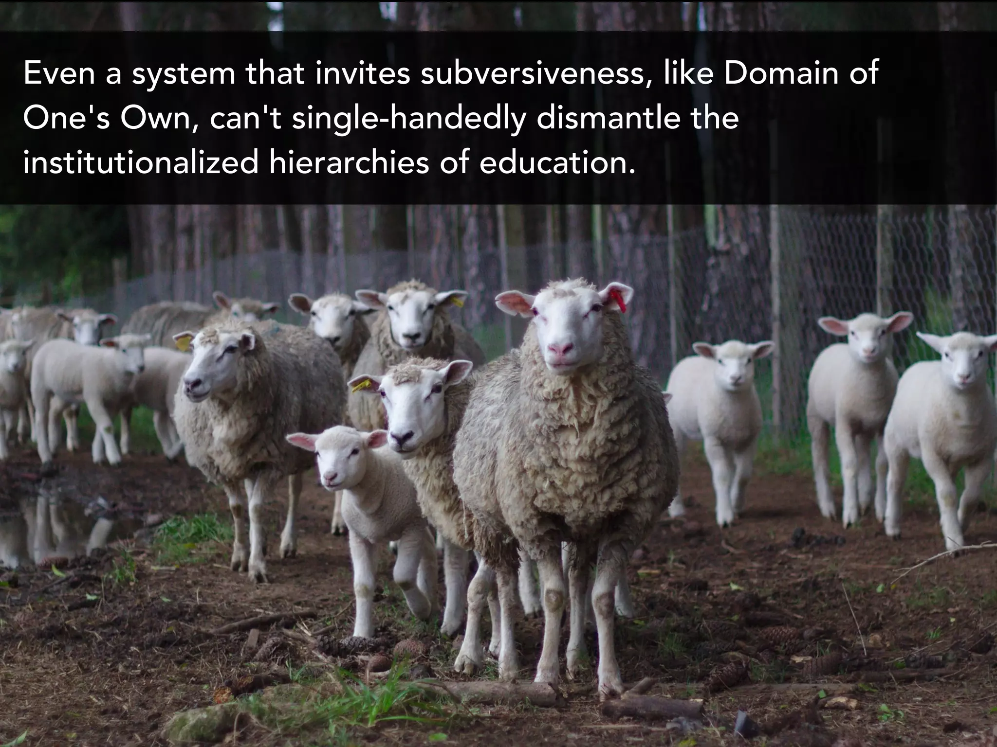 Even a system that invites subversiveness, like Domain of
One's Own, can't single-handedly dismantle the
institutionalized hierarchies of education.
 