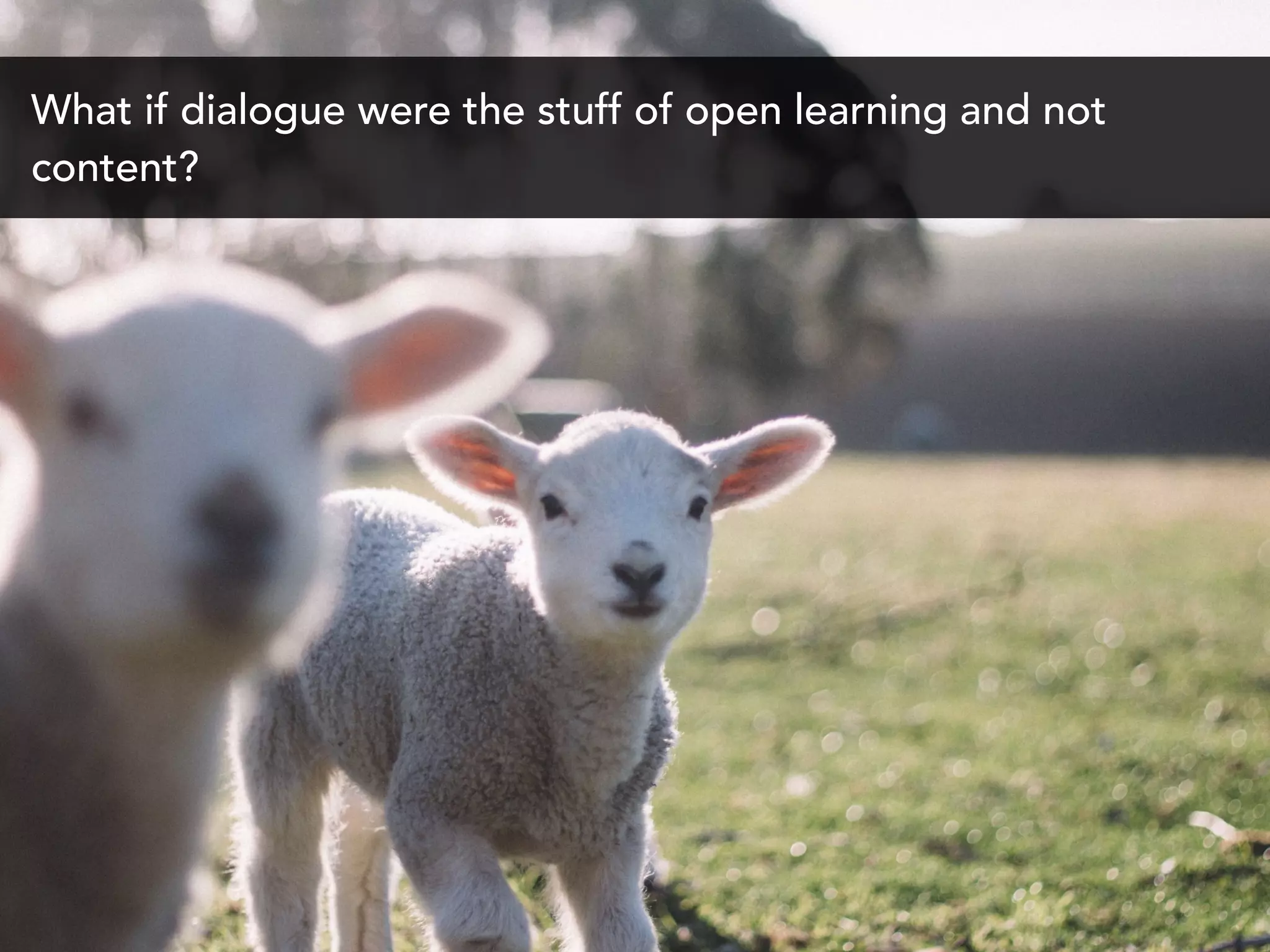 What if dialogue were the stuff of open learning and not
content?
 