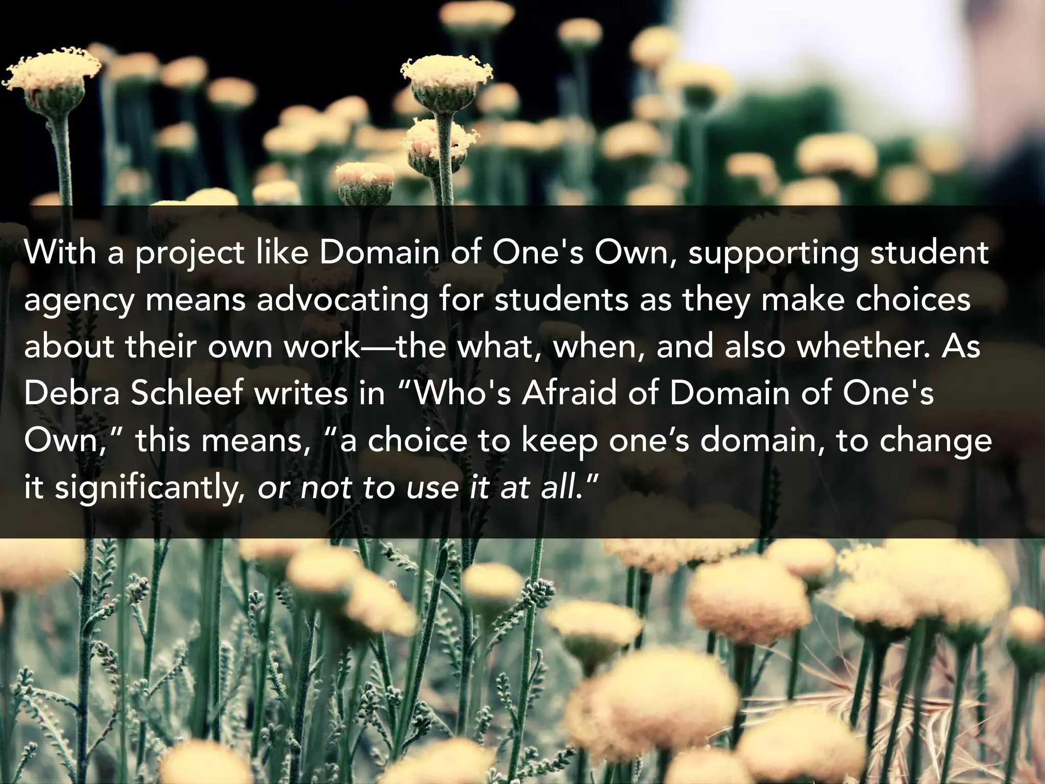 With a project like Domain of One's Own, supporting student
agency means advocating for students as they make choices
about their own work—the what, when, and also whether. As
Debra Schleef writes in “Who's Afraid of Domain of One's
Own,” this means, “a choice to keep one’s domain, to change
it significantly, or not to use it at all.”
 