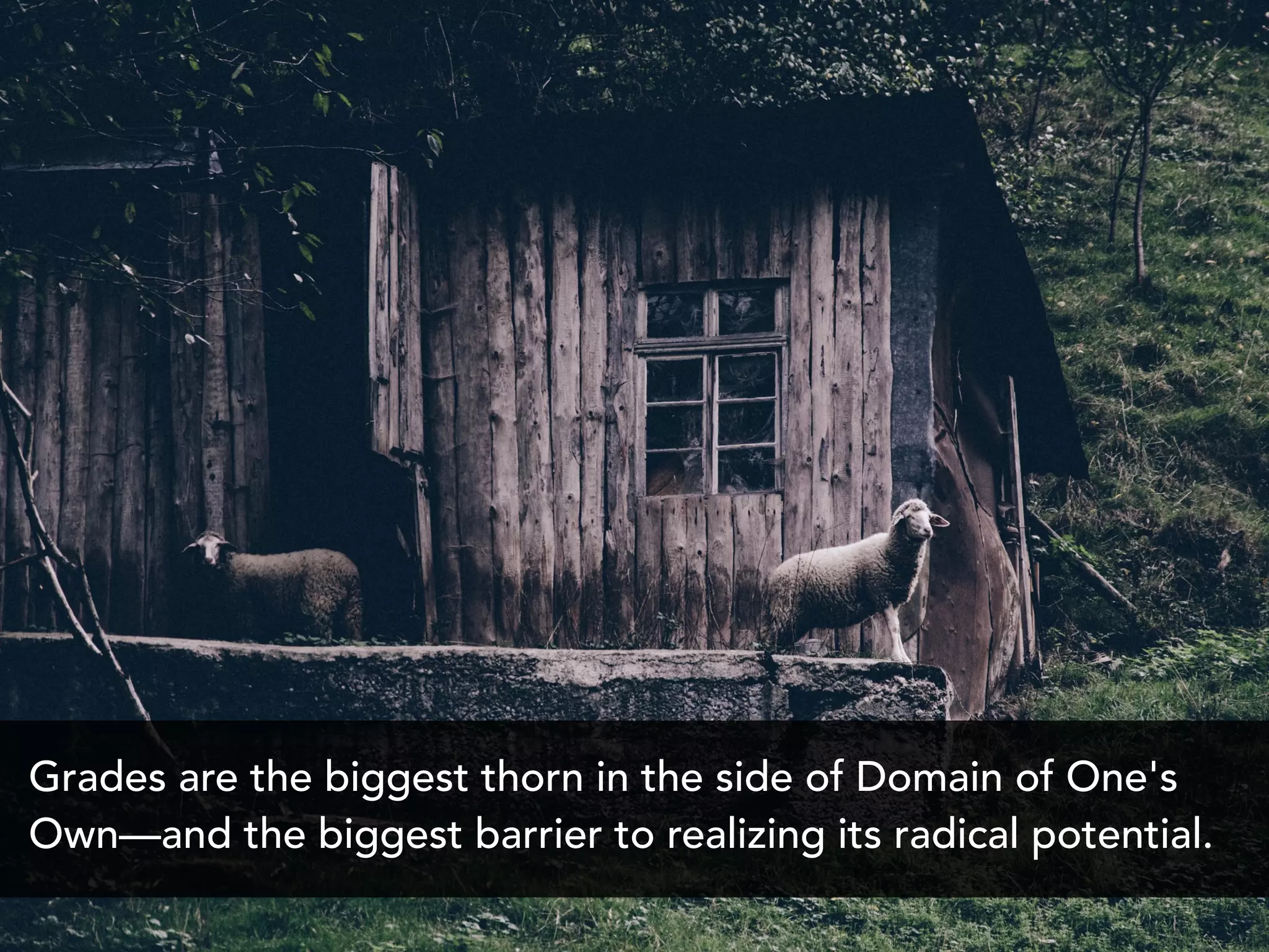 Grades are the biggest thorn in the side of Domain of One's
Own—and the biggest barrier to realizing its radical potential.
 