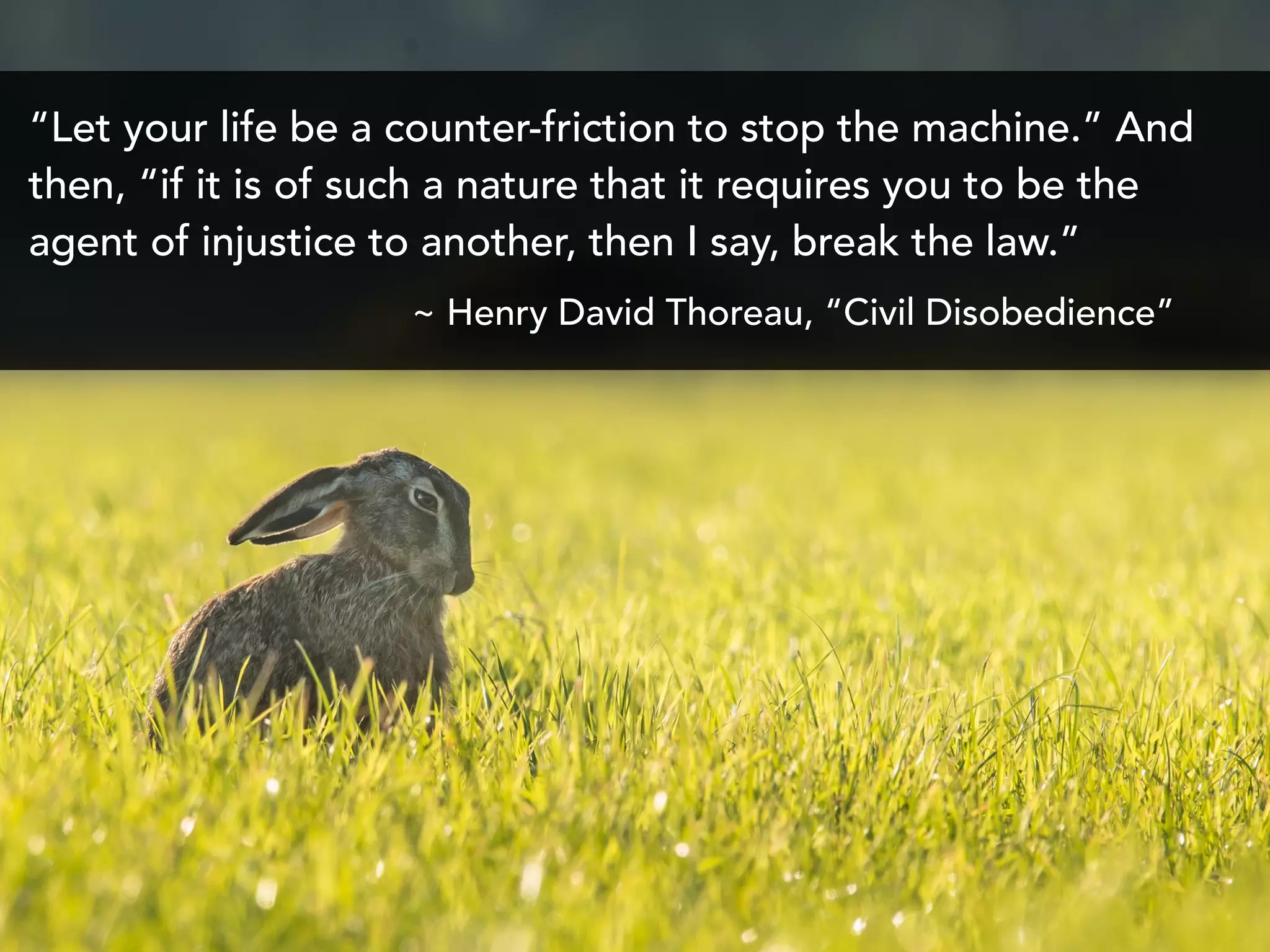 “Let your life be a counter-friction to stop the machine.” And
then, “if it is of such a nature that it requires you to be the
agent of injustice to another, then I say, break the law.”
~ Henry David Thoreau, “Civil Disobedience”
 
