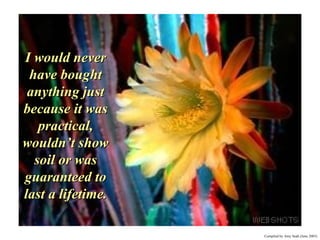 I would never have bought anything just because it was practical, wouldn’t show soil or was guaranteed to last a lifetime. 