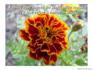 I would have burned the pink candle sculpted like a rose before it melted in storage. I would have burned the pink candle sculpted like a rose before it melted in storage. 