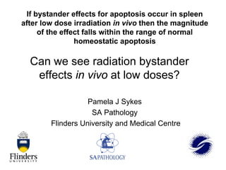 If bystander effects for apoptosis occur in spleen
after low dose irradiation in vivo then the magnitude
of the effect falls within the range of normal
homeostatic apoptosis
Pamela J Sykes
SA Pathology
Flinders University and Medical Centre
Can we see radiation bystander
effects in vivo at low doses?
 