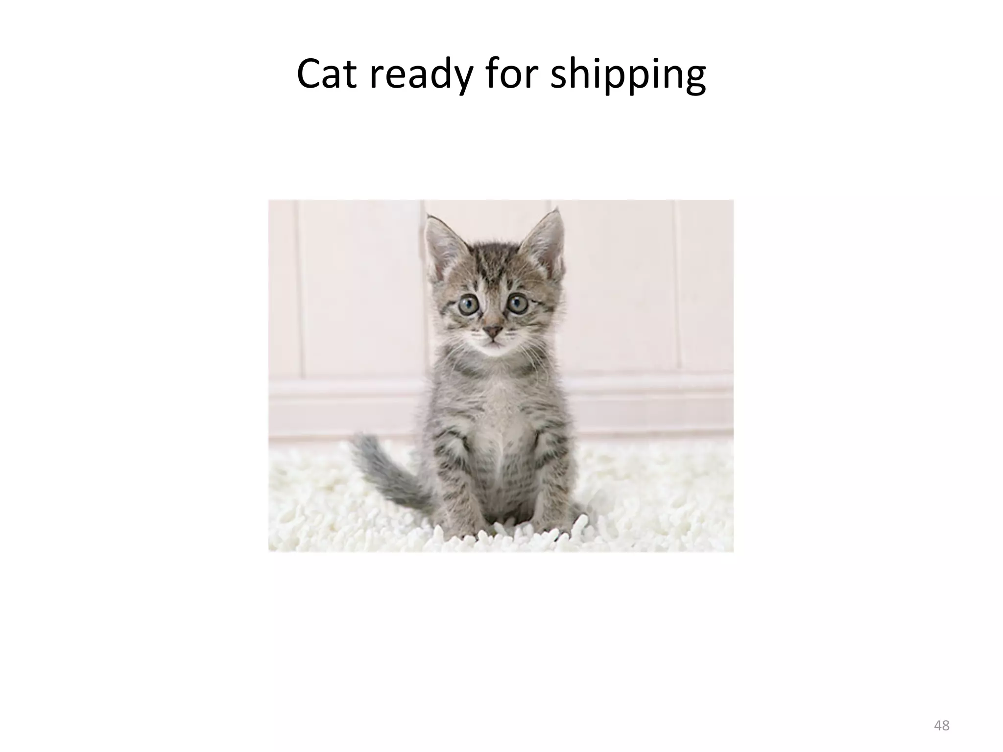 48
Cat	
  ready	
  for	
  shipping
 