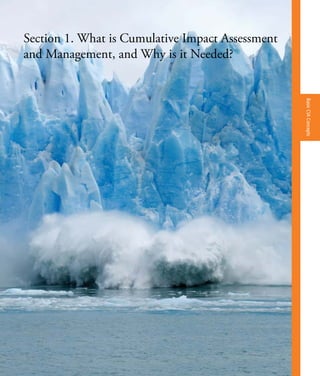 Section 1. What is Cumulative Impact Assessment
and Management, and Why is it Needed?
BasicCIAConcepts
 