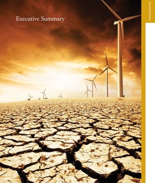 Executive Summary
ExecutiveSummary
 