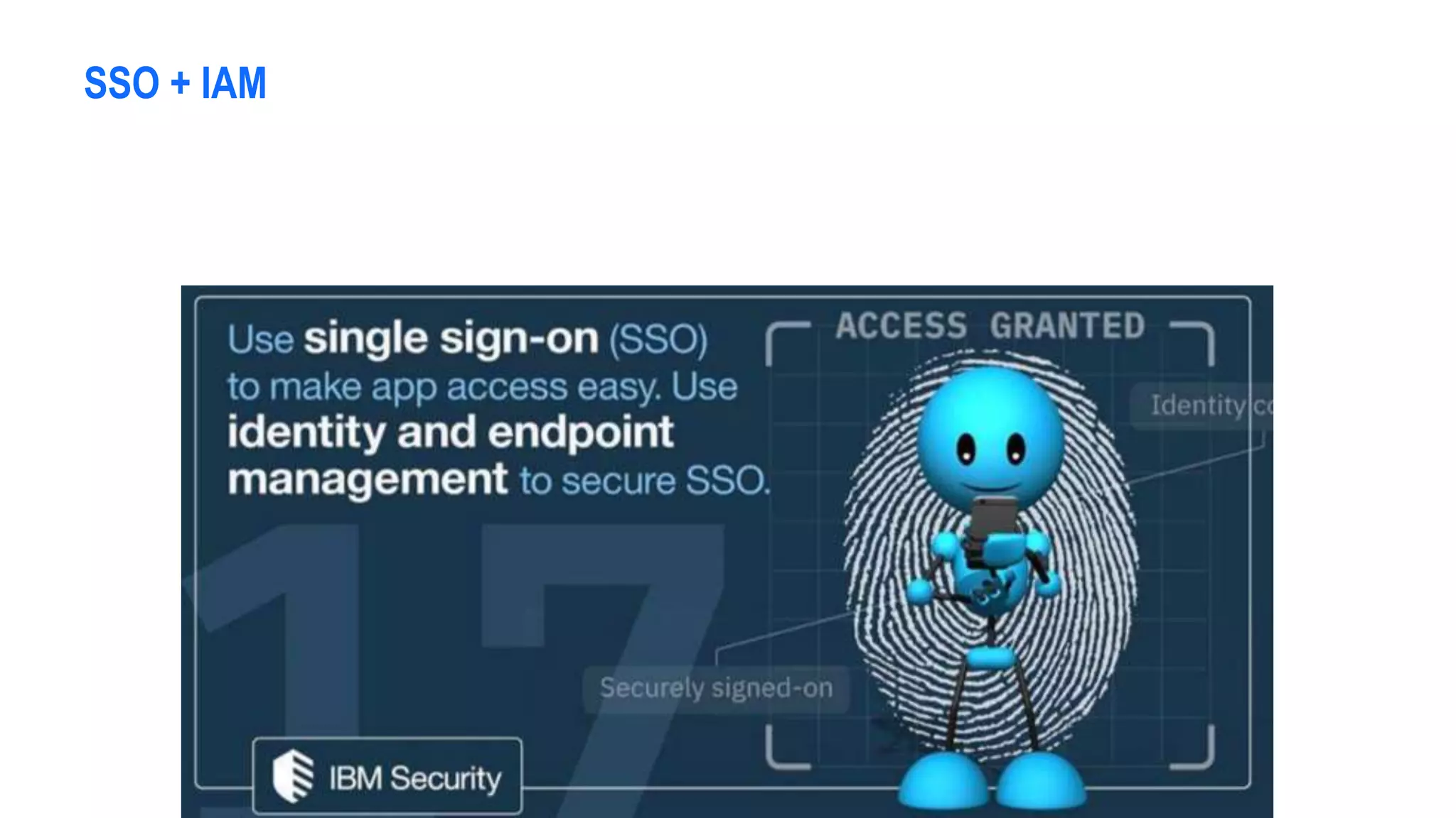 SSO + IAM
 
