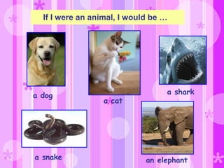 If I were an animal, I would be …
a dog
a cat
an elephanta snake
a shark
 