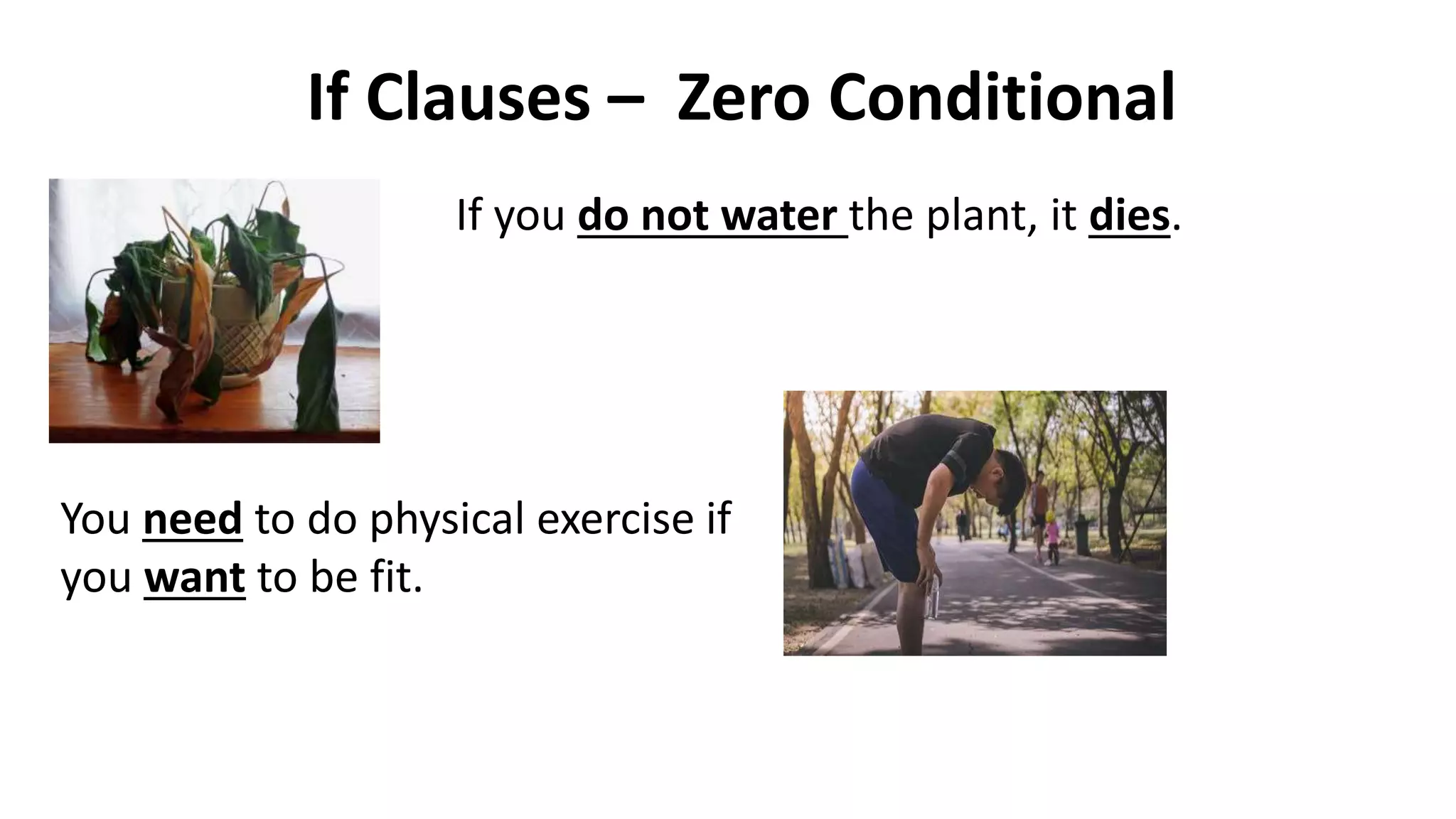 If clauses part 1 (zero/First Conditional) | PPT