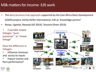 Dairy development pathways: ILRI’s experience