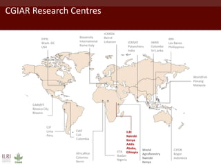 Dairy development pathways: ILRI’s experience