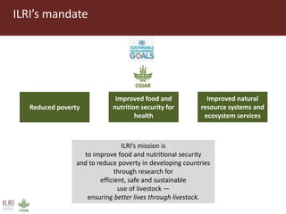 Dairy development pathways: ILRI’s experience