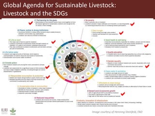 Dairy development pathways: ILRI’s experience