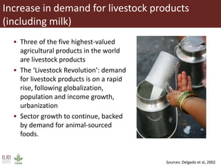 Dairy development pathways: ILRI’s experience