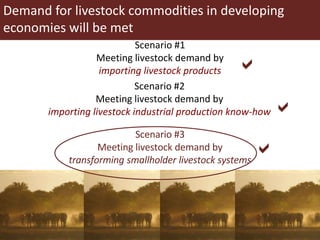 Dairy development pathways: ILRI’s experience