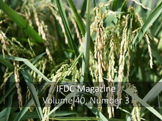 IFDC Magazine
Volume 40, Number 3
 