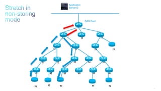 171
11 12 13
25242322
3534333231
464544434241
DAG Root
Application
Server D
51 52 53 55 56
 