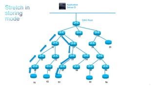 172
11 12 13
25242322
3534333231
464544434241
DAG Root
Application
Server D
51 52 53 55 56
 