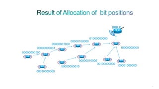 202
BBR D
00000000001
00000000100
00010000000
00000000010
00000010000
00100000000
00001000000
00000001000
00000100000
01000000000
10000000000
 