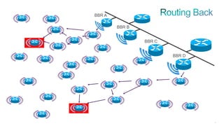 53
BBR A
BBR B
BBR C
BBR D
 