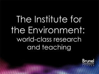 The Institute for
the Environment:
 world-class research
   and teaching
 