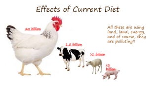 Effects of Current Diet
20 billion
1.5 billion
>1 billion
<1
billion
All these are using
land, land, energy,
and of course, they
are polluting!!
 