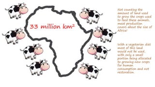 33 million km2
Not counting the
amount of land used
to grow the crops used
to feed these animals,
meat production
covers about the size of
Africa!
With a vegetarian diet
most of this land
would not be used,
with only a small
portion being allocated
to growing new crops
for human
consumption and not
restoration.
 