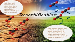 Much of the land
currently used as
pasture is too dry to
grow crops without
humans adding
artificial nutrients so it
needs to be restored.
If not properly managed, this
land could turn to desert
instead of returning to its
natural state. This natural
state of grassland & forests
would help counter act climate
change by absorbing CO2
 