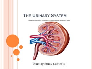 THE URINARY SYSTEM
Nursing Study Contents
 