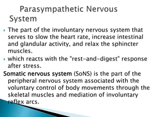 Anatomy and physiology of Central Nervous System | PPT