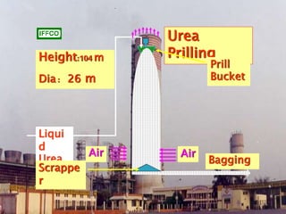 Urea
Prilling
Liqui
d
Urea
Prill
Bucket
Bagging
Air Air
Scrappe
r
Height:104m
Dia : 26 m
 