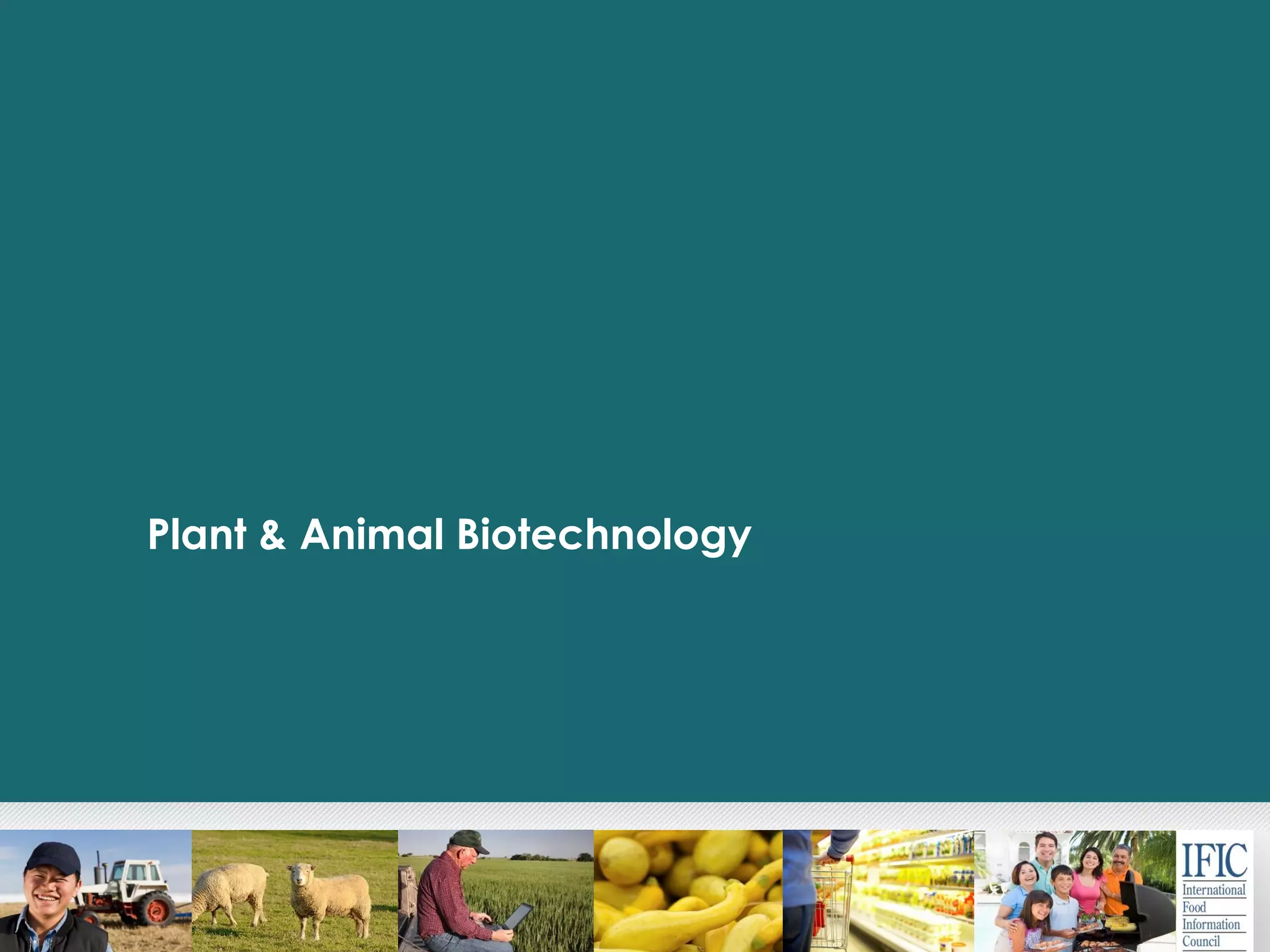 Plant & Animal Biotechnology
 