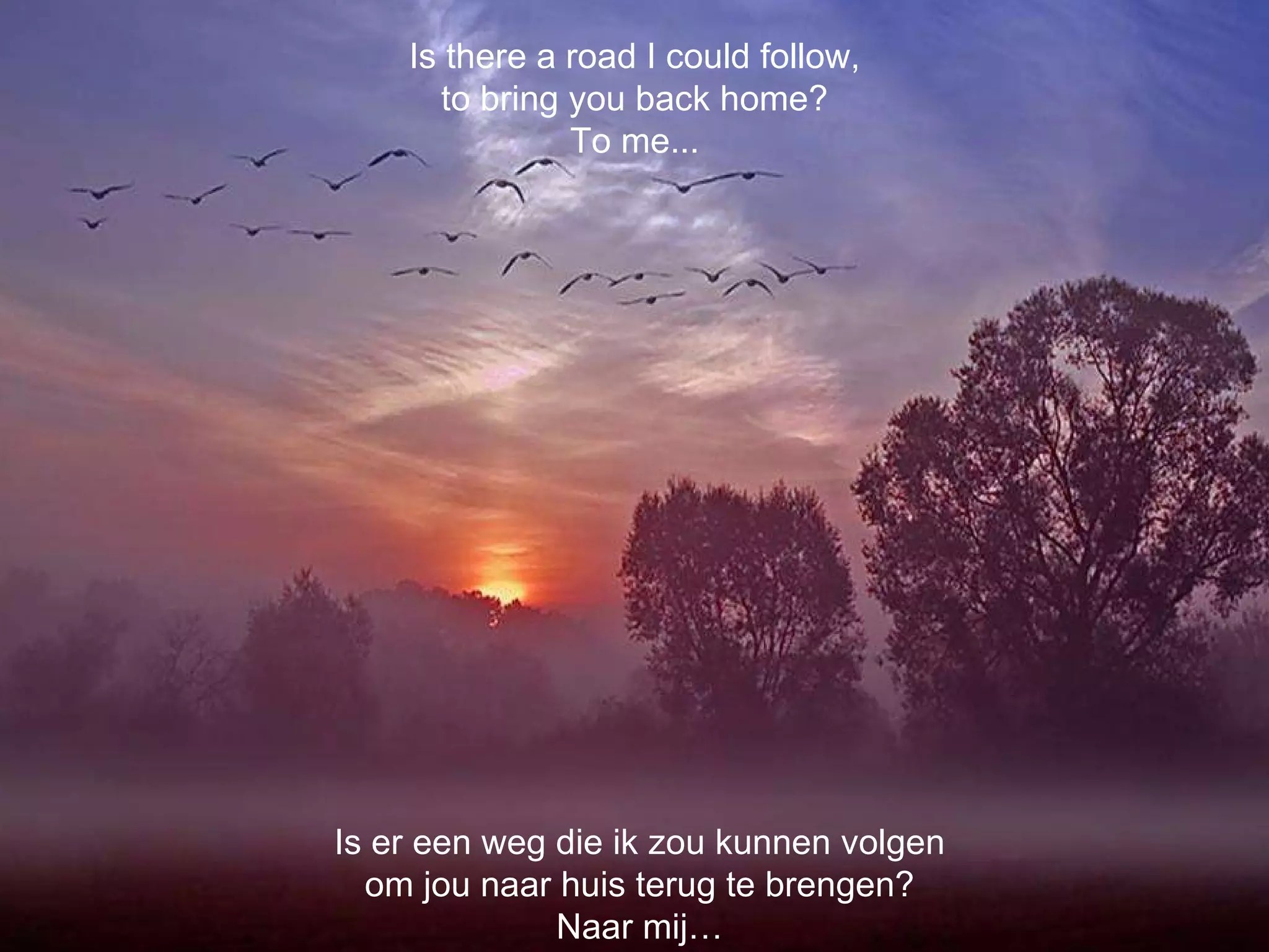 Is er een weg die ik zou kunnen volgen om jou naar huis terug te brengen? Naar mij… Is there a road I could follow, to bring you back home? To me... 