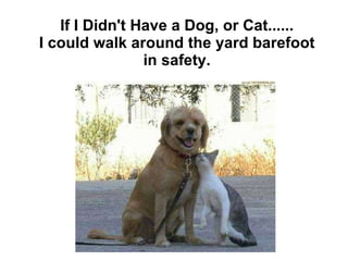 If I Didn't Have a Dog, or Cat...... I could walk around the yard barefoot in safety. 
