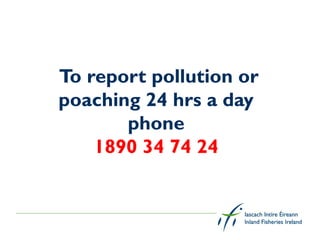 To report pollution or
poaching 24 hrs a day
       phone
    1890 34 74 24
 
