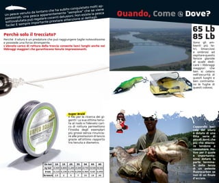 molti ap-
                                               conquistato e viene
                                  e ha subito
                                                                                          Quando, Come e Dove?
                             o ch                          es
                to da lontan                 “semplice” ch
Un pesce venu esca apparentemente ni. Non esiste la pesca
             Una p                   ti delusio
passionati.            galare cocen              one ai detta
                                                              gli.
sottova  lutata può re rtante prestare attenzi
              pre impo
facile! È sem
                                                                                                          65 Lb
Perchè solo il trecciato?
Perchè il siluro è un predatore che può raggiungere taglie notevolissime                                  85 Lb
                                                                                                          Sono gli am-
e possiede una forza dirompente.
L’elevato carico di rottura della treccia consente lanci lunghi anche nei                                 bienti più te-
libbraggi maggiori che garantiscono tenute impressionanti.                                                tri, limacciosi
                                                                                                          e ombrosi ad
                                                                                                          ospitare questo
                                                                                                          feroce glanide
                                                                                                          al quale dedi-
                                                                                                          care i libbraggi
                                                                                                          maggiori     che
                                                                                                          ben si celano
                                                                                                          nell’oscurità di
                                                                                                          questi luoghi e
                                                                                                          ben contrasta-
                                                                                                          no le fughe di
                                                                                                          questi colossi.




                                                      Super Braid
                                                      Il ﬁlo per la ricerca dei gi-
                                                      ganti! La sua ottima tenu-
                                                      ta al nodo e l’elevato cari-
                                                      co di rottura permettono                            L’apparato boc-
                                                      l’insidia degli esemplari                           cale del siluro
                                                      più grossi senza rinuncia-                          è dotato di una
                                                      re alle prestazioni di lancio                       ﬁtta serie di
                                                      grazie all’ottimo rapporto                          piccoli denti che
                                                      tra tenuta e diametro.                              più che dilania-
                                                                                                          re tendono a
                                                                                                          consumare. Mo-
                                                                                                          tivo per il quale
                                                                                                          è importantis-
                                                                                                          simo dotare la
                                                                                                          parte termina-
                             Lbs test     10     15    25     35     50    65     85                      le della lenza
                             Kg test     4,500 6,800 11,400 15,900 22.700 29,500 38,500                   di un potente
                              Ø mm       0,110 0,130 0,170 0,200 0,360 0,42 0,450                         ﬂuorocarbon se
                            lbs mono Ø    1,5    2      5      7     15     19    20                      non di un ﬁnale
                                                                                                          d’acciaio.
 