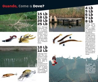 Quando, Come e Dove?                   4 Lb
                                       5 Lb
                15 Lb                  6 Lb
                18 Lb                  7 Lb
                20 Lb                  8 Lb
                25 Lb                  Misure fonda-
                                       mentali per la
                Sono libbraggi         pesca         extra
                importanti che         light. Le miglio-
                ben si adatta-         ri combinazioni
                no a situazioni        tra diametro e
                estreme come           resistenza.
                le ﬁtte cover e        L’estrema ﬁnez-
                le zone molto          za delle misure
                ricche di osta-        supportata da
                coli. Sono adatti      una resistenza
                alla pesca con         inequiparabile
                Jig e inneschi         ed una perfetta
                texas.                 t ra s m i s s i o n e
                                       delle vibrazioni,
                                       conferiscono a

                10 Lb                  questi diametri
                                       di ﬂuorocarbon

                12 Lb                  l’eccellenza in
                                       tema di pesca
                                       con tecniche ﬁ-
                Libbraggi inter-       nesse.
                medi che con-
                sentono lunghi
                lanci e una per-
                fetta trasmis-
                sione delle vi-
                brazioni.
                Caratteristiche        Le acque cri-
                fo n d a m e n t a -   stalline    sono
                li per la pesca        sicuramente i
                con i jerkbait         luoghi nei quali
                suspending e           preferire senza
                con i crankbait        dubbio l’utilizzo
                di profondità.         di ﬂuorocarbon.
 