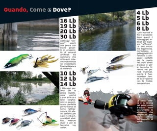 Quando, Come e Dove?                4 Lb
                16 Lb               5 Lb
                19 Lb               6 Lb
                20 Lb               8 Lb
                                    I più morbidi e

                30 Lb
                Libbraggi “cor-
                                    ﬁni in assoluto!
                                    Sono questi i
                                    libbraggi più in-
                                    dicati per la pe-
                posi”      adatti   sca “rafﬁnata”.
                alla pesca con      La loro estre-
                esche pesan-        ma leggerezza,
                ti in prossimi-     morbidezza e
                tà di ostacoli      galleggiabilità li
                artiﬁciali    sia   rendono i com-
                sommersi che        pagni perfetti
                afﬁoranti. L’ele-   per la pesca
                vata robustezza     nei primi strati
                ne evidenziano      d’acqua e per
                l’uso nella pesca   le tecniche ﬁ-
                di sostanza.        nesse nei pe-

                10 Lb               riodi invernali,
                                    poichè il ﬂuo-

                12 Lb
                                    rocarbon ten-
                                    de ad irrigidirsi
                                    con le fredde

                14 Lb
                I libbraggi per-
                                    temperature.


                fetti per la
                pesca rapidis-
                sima     poichè
                consentono
                lanci lunghis-      La pesca velo-
                simi e garanti-     ce e la ricerca
                scono perfette      nei primi strati
                performance di      d’acqua     sono
                tutta l’attrez-     sicuramente le
                zatura. Gli alle-   situazioni che
                ati perfetti per    meglio si pre-
                spinnerbait,        stano     all’uso
                crankbait shal-     dei monoﬁli di
                low,    medium      nylon.
                diver e per le
                tecniche     top
                water.
 