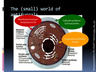 The (small) world of
antifungals
  Membrane function:   Cellwall synthesis:
   Amphotericin B
                        Echinocandins




                         Ergosterol synthesis:
                               Azoles
 