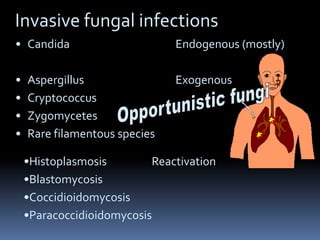 Invasive fungal infections
• Candida                      Endogenous (mostly)

•   Aspergillus                Exogenous
•   Cryptococcus
•   Zygomycetes
•   Rare filamentous species

    •Histoplasmosis        Reactivation
    •Blastomycosis
    •Coccidioidomycosis
    •Paracoccidioidomycosis
 