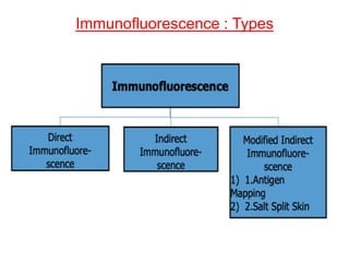Immunofluorescence : Types
 